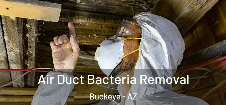  Air Duct Bacteria Removal Buckeye - AZ