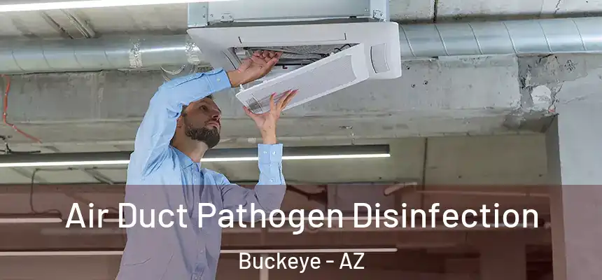 Air Duct Pathogen Disinfection Buckeye - AZ