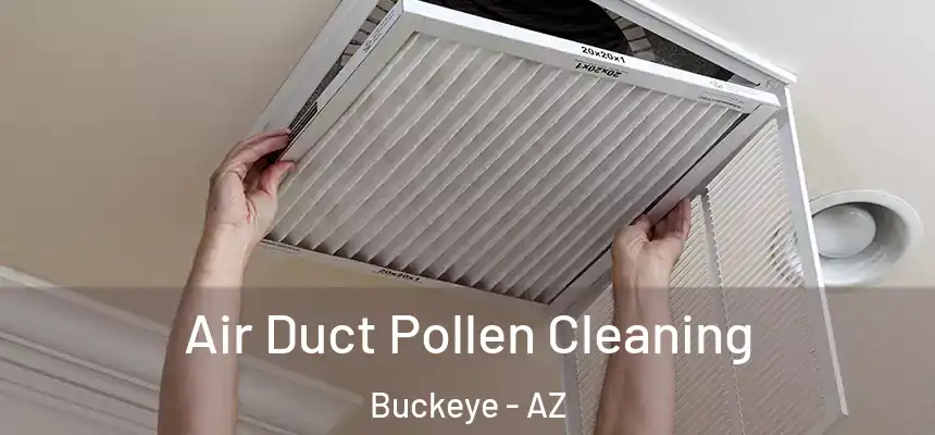  Air Duct Pollen Cleaning Buckeye - AZ