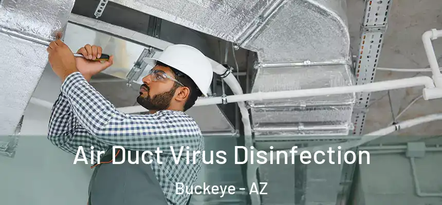  Air Duct Virus Disinfection Buckeye - AZ