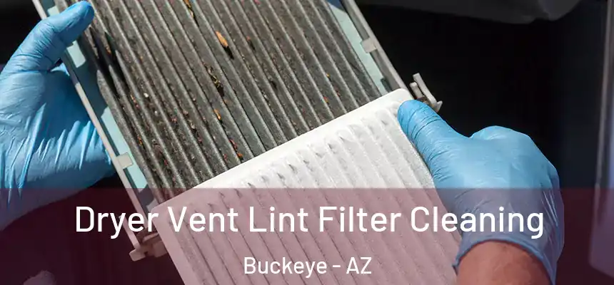 Dryer Vent Lint Filter Cleaning Buckeye - AZ