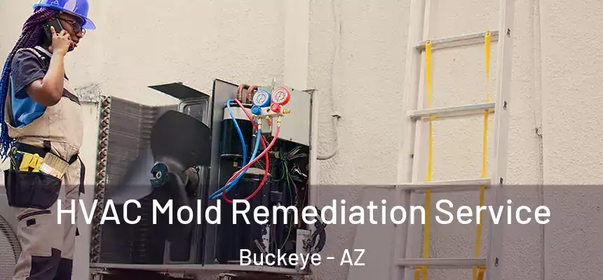 HVAC Mold Remediation Service Buckeye - AZ