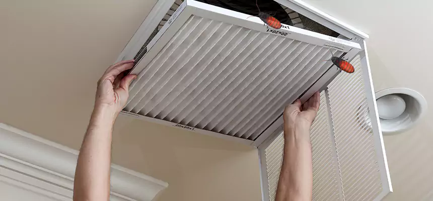 Preventive Cockroach-Proofing for Ducts in Buckeye