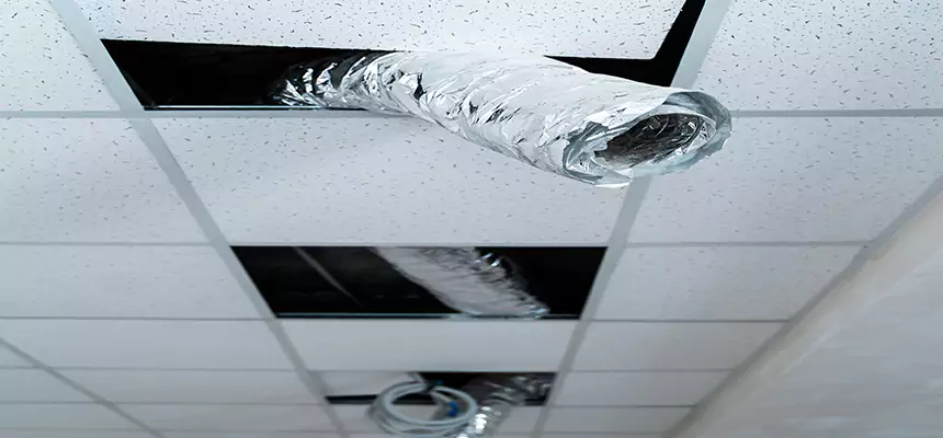 Affordable HVAC Sanitizing After Pest Removal in Buckeye