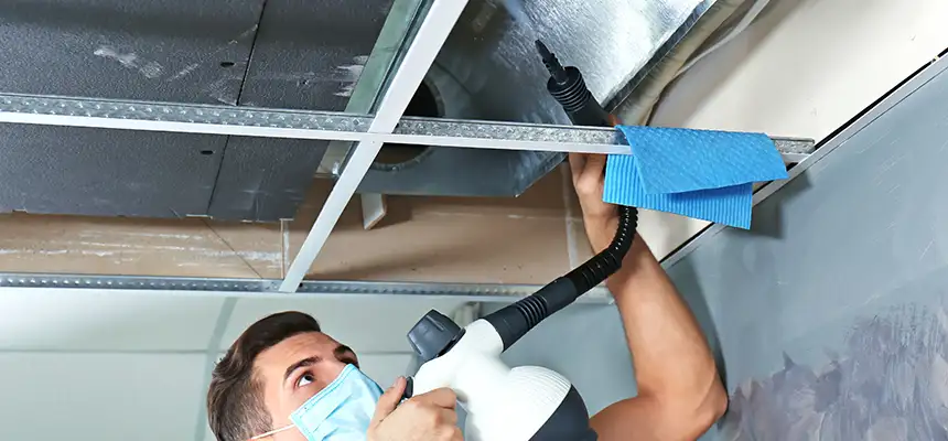 Our Air Duct Rodent Removal Services in Buckeye, AZ