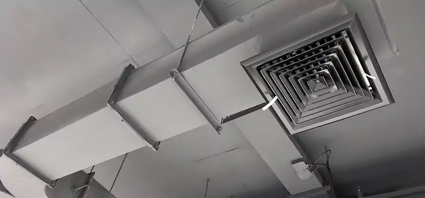 Restorative Allergy Relief Vent Cleaning – Coil, Blower & Housing Detail in Buckeye