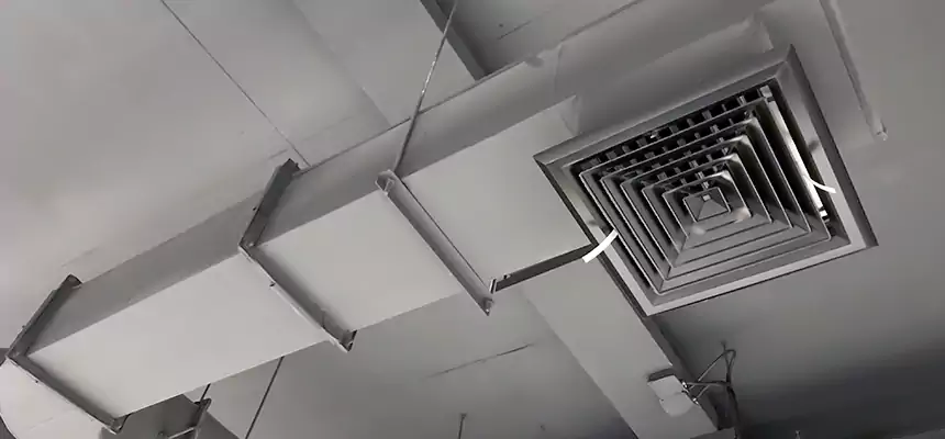 Our Pest Removal From Ducts Services in Buckeye, AZ