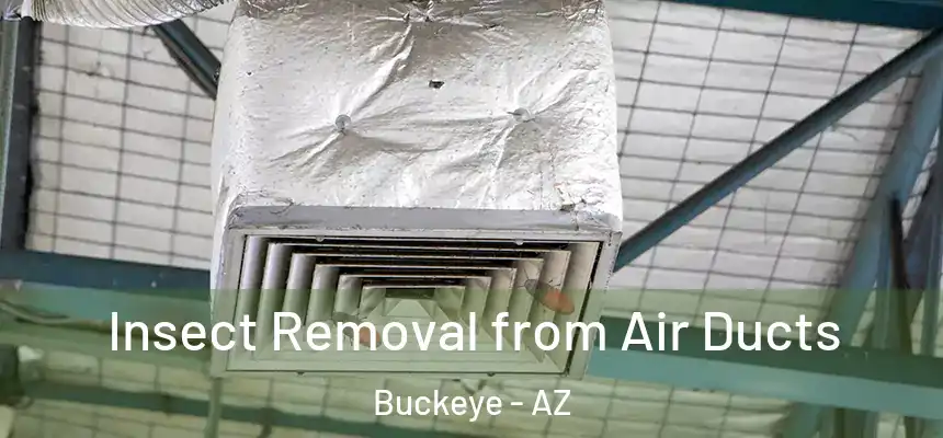 Insect Removal from Air Ducts Buckeye - AZ