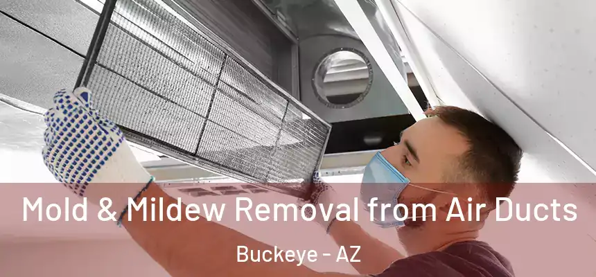 Mold & Mildew Removal from Air Ducts Buckeye - AZ