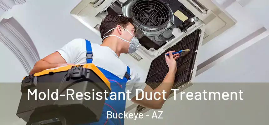  Mold-Resistant Duct Treatment Buckeye - AZ