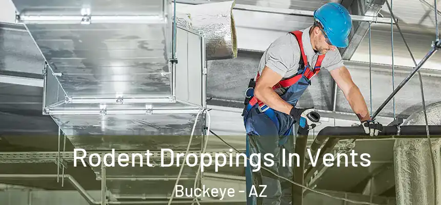  Rodent Droppings In Vents Buckeye - AZ