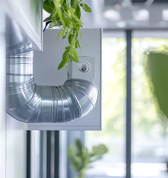 Professional Eco-Safe Dryer Vent Cleaning in Buckeye, AZ