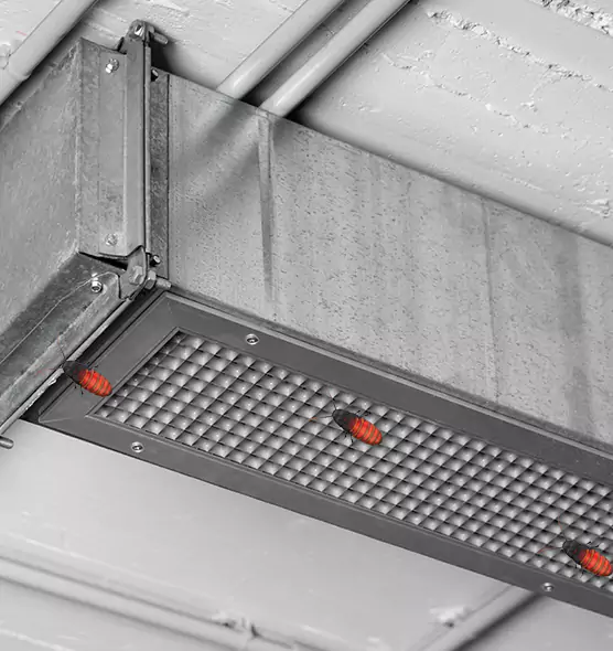 Affordable Insect Removal from Air Ducts in Buckeye, AZ