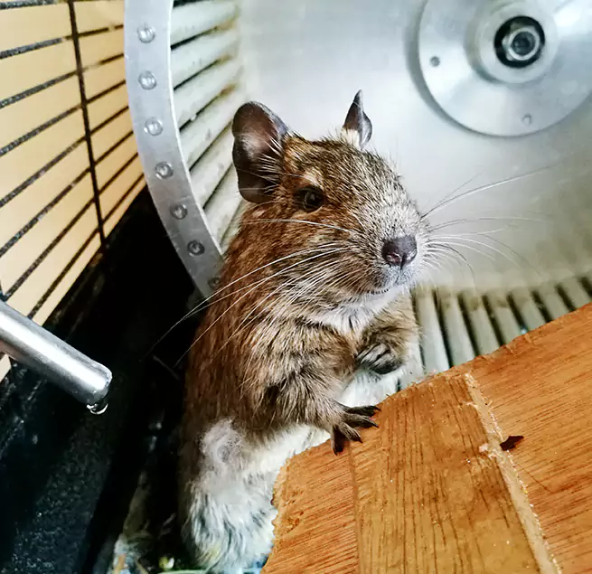 Why Homeowners & Businesses Trust Us Buckeye, AZ